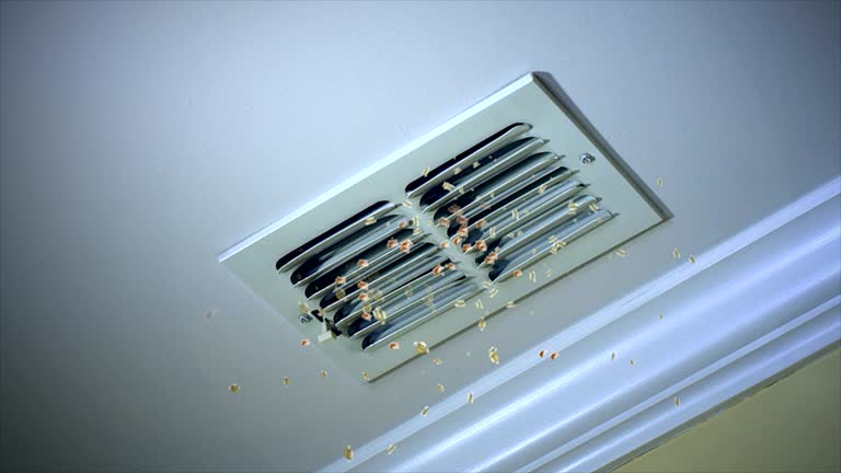 Best Air Vent Cleaning Services  in Perryville, AR