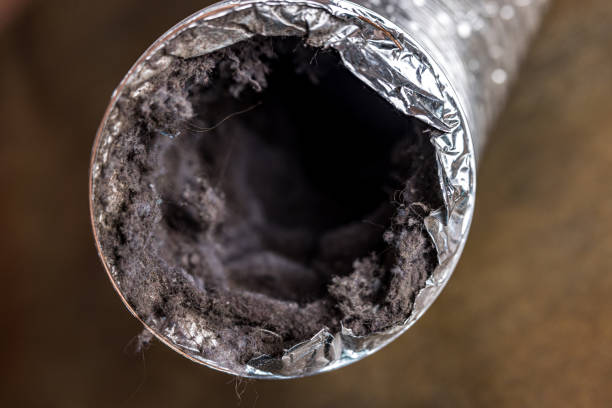 Best Affordable HVAC Duct Cleaning  in Perryville, AR