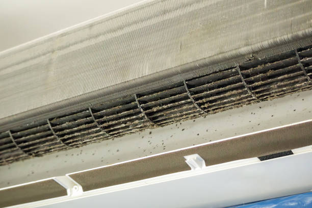 Best Affordable Air Duct Cleaning  in Perryville, AR