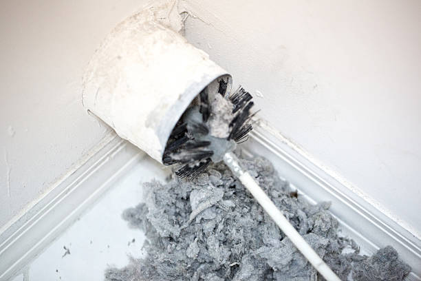 Best Professional Duct Cleaning Services  in Perryville, AR
